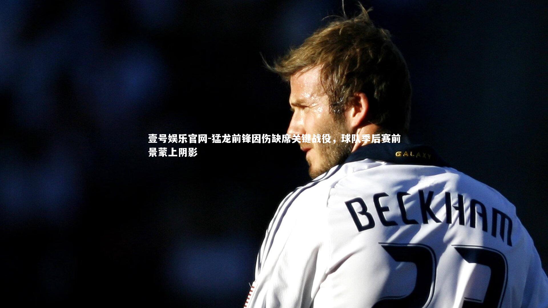 猛龙前锋因伤缺席关键战役，球队季后赛前景蒙上阴影